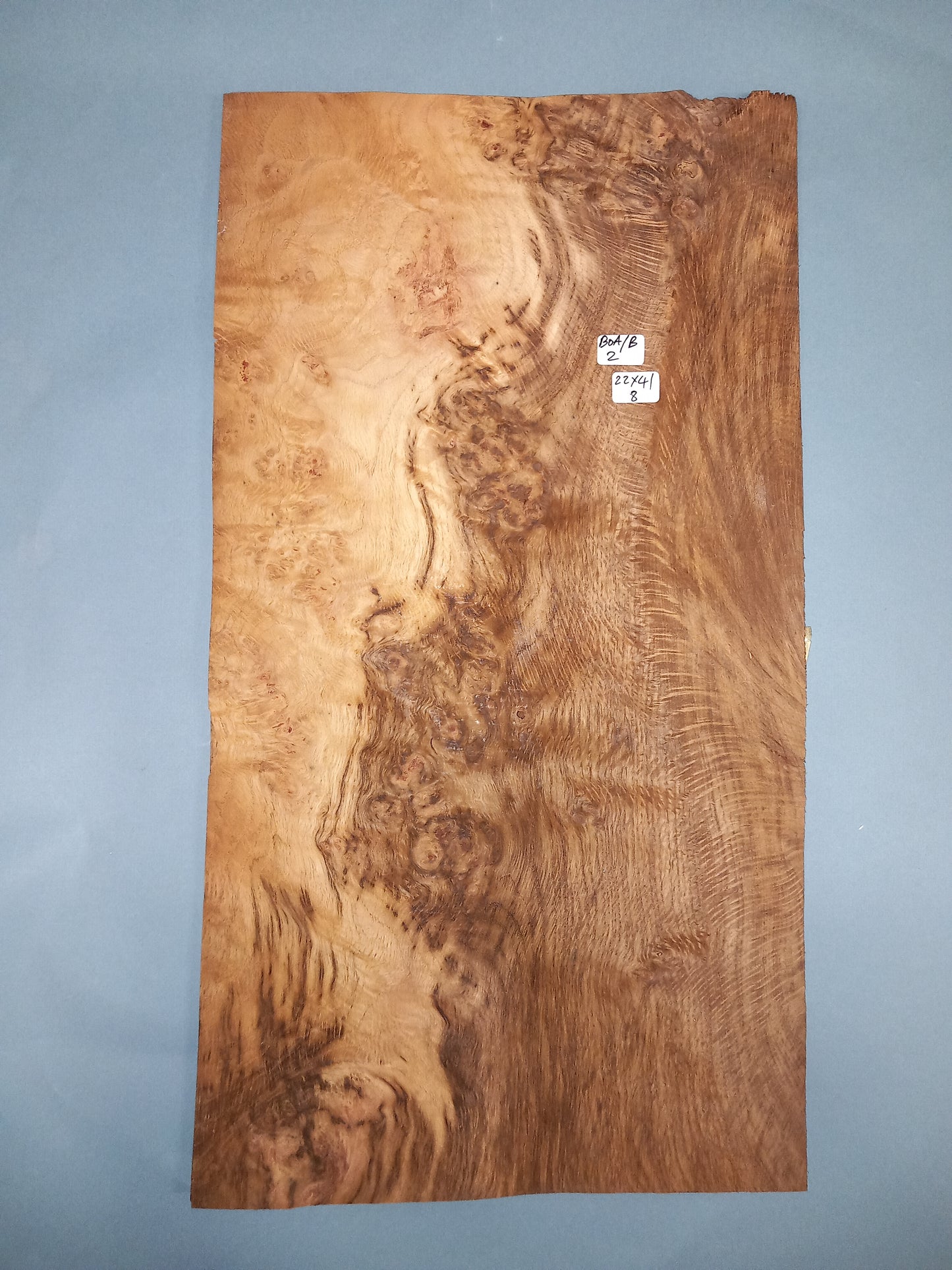 BROWN OAK BURR - 1 CONSECUTIVE SHEET 21x42cm