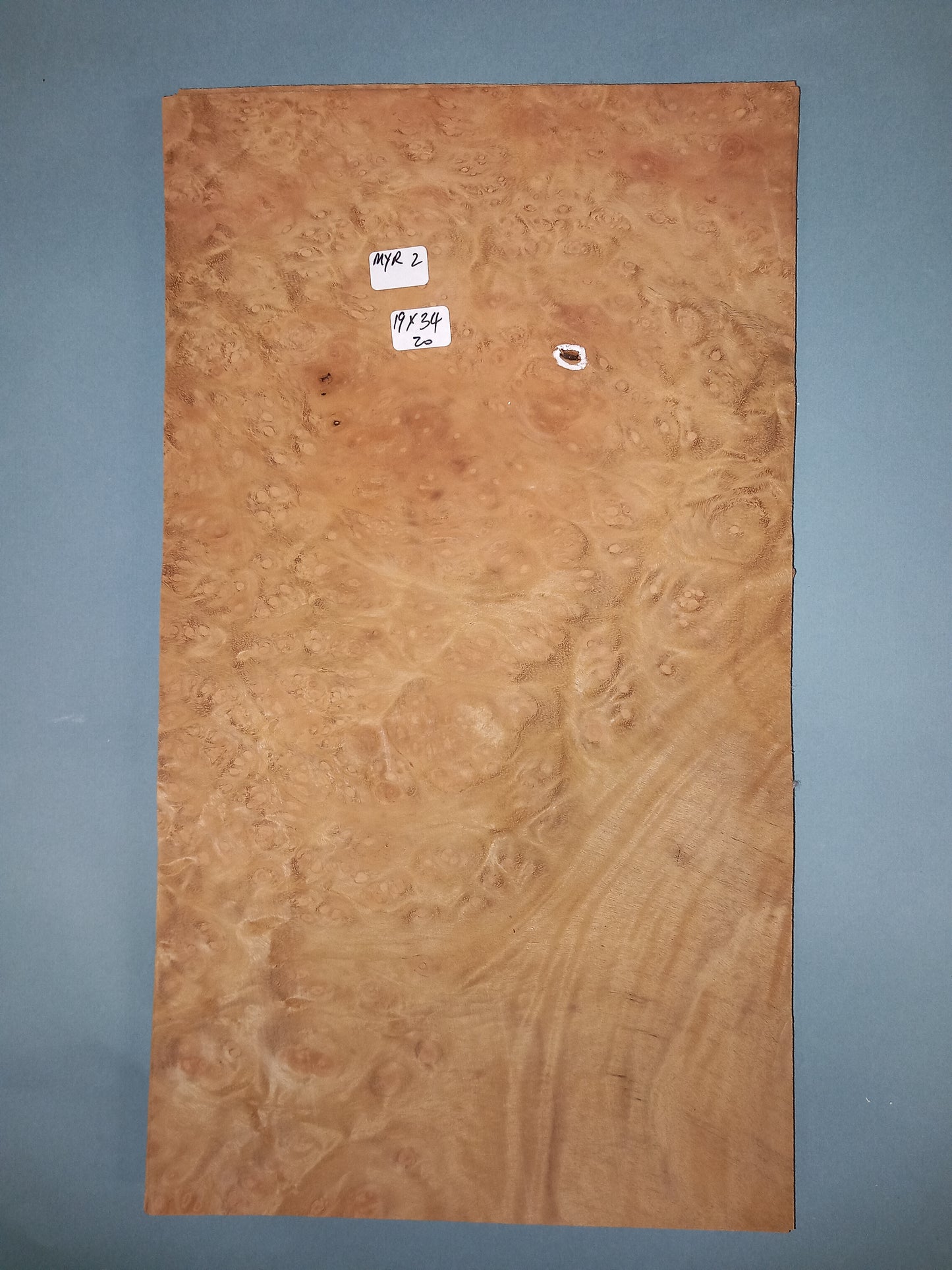 MYRTLE BURR - 1 CONSECUTIVE SHEET 19x34cm