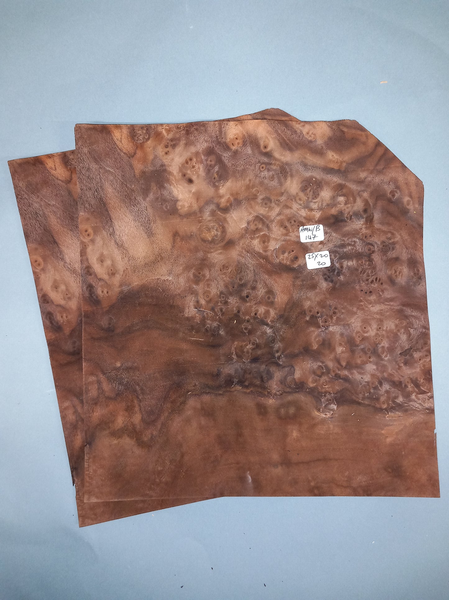 WALNUT AMERICAN BURR - 2 CONSECUTIVE SHEETS 20x25cm
