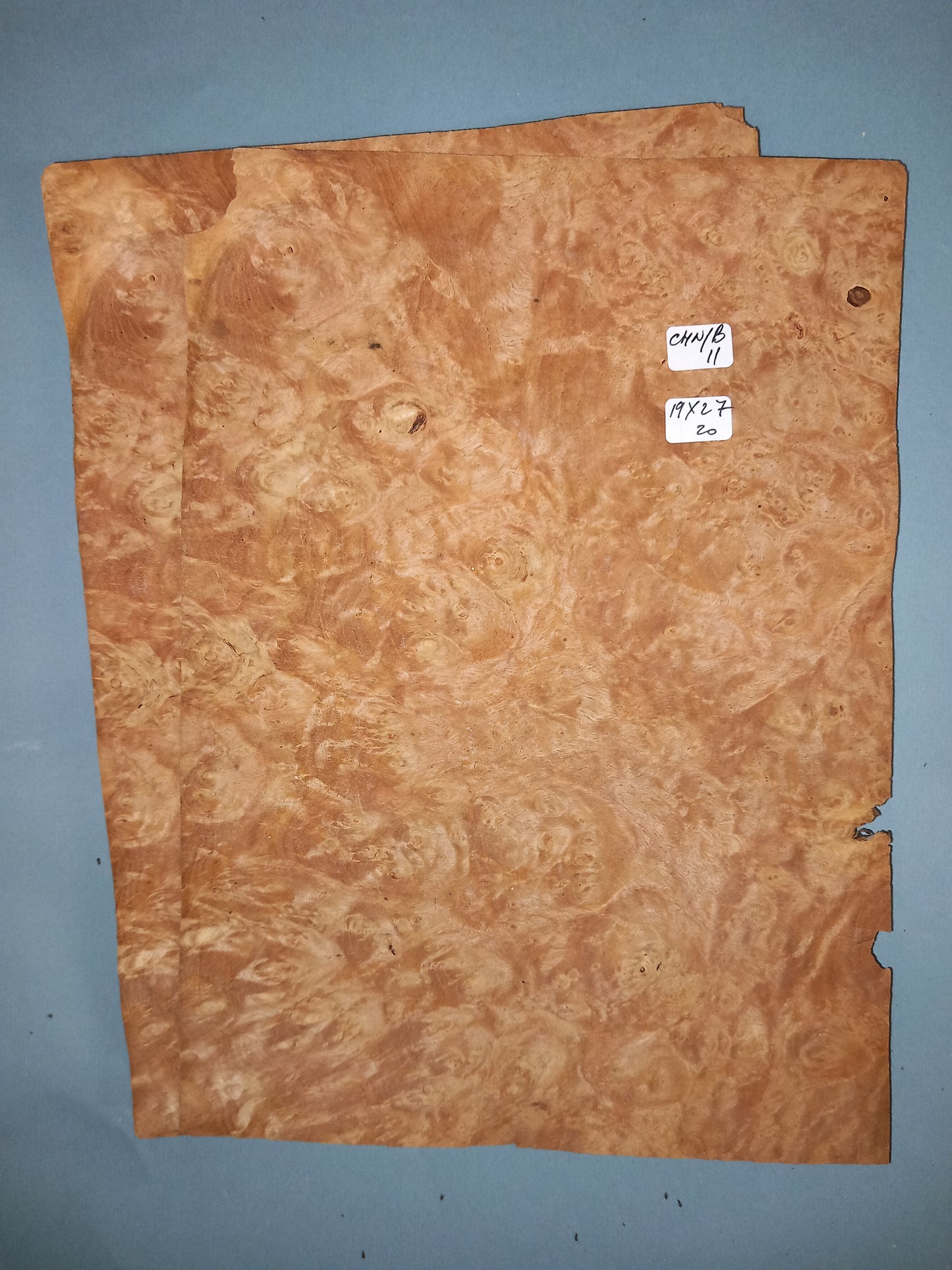 2 CONSECUTIVE SHEETS OF CHESTNUT BURR VENEER 19 X 27 CM