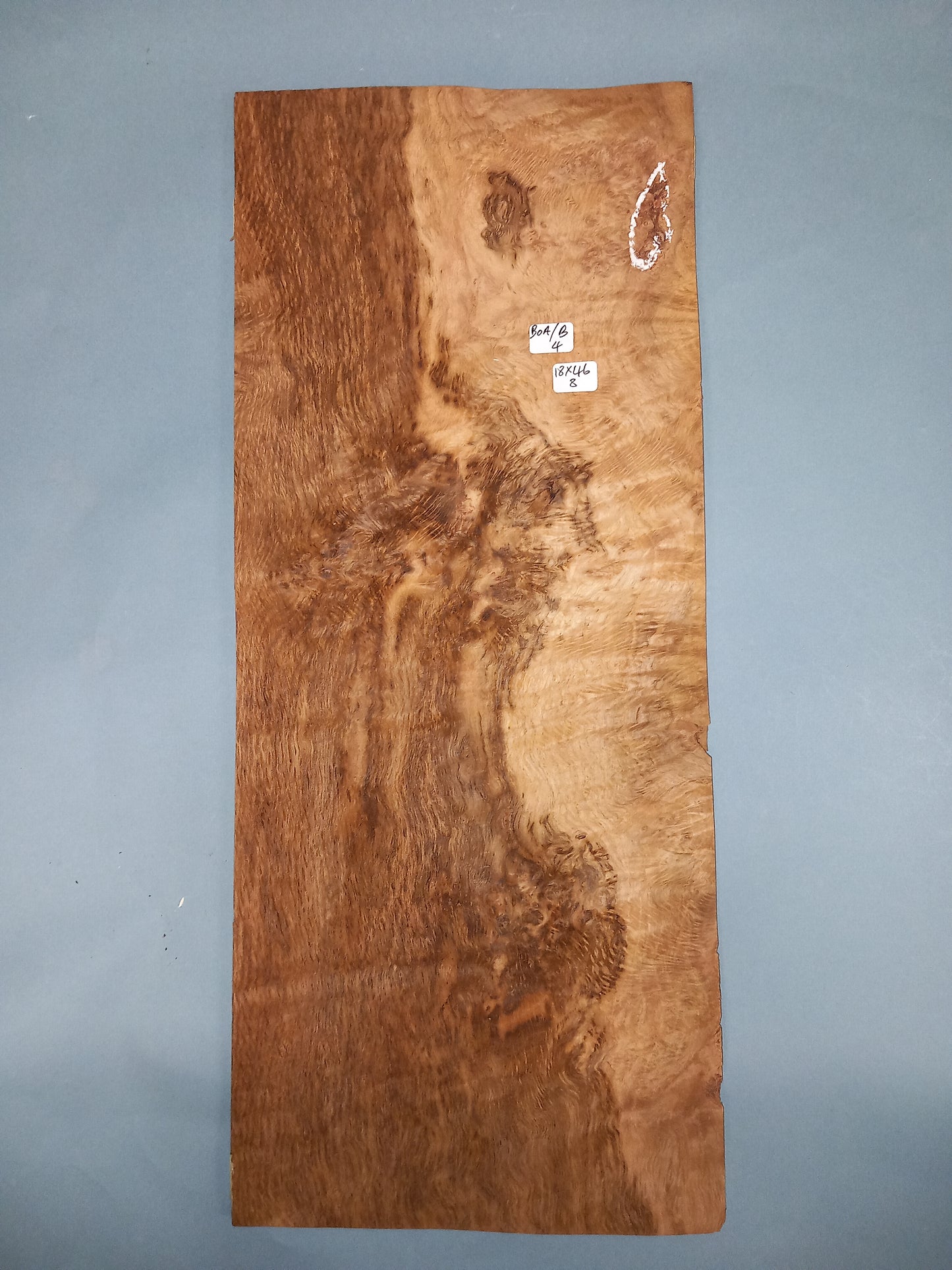 BROWN OAK BURR - 1 CONSECUTIVE SHEET 18x46cm