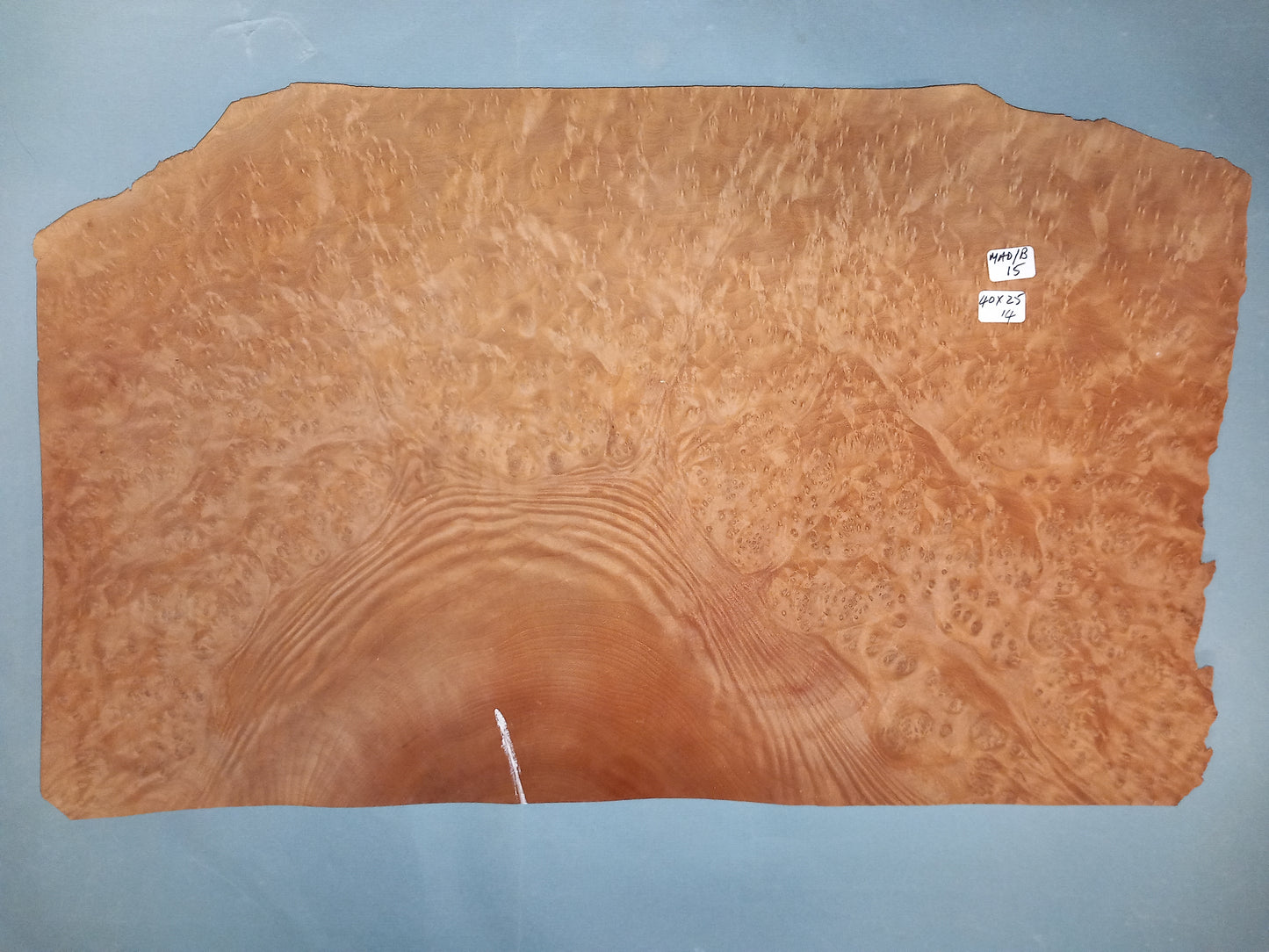 MADRONE BURR - 1 CONSECUTIVE SHEET 25x40cm