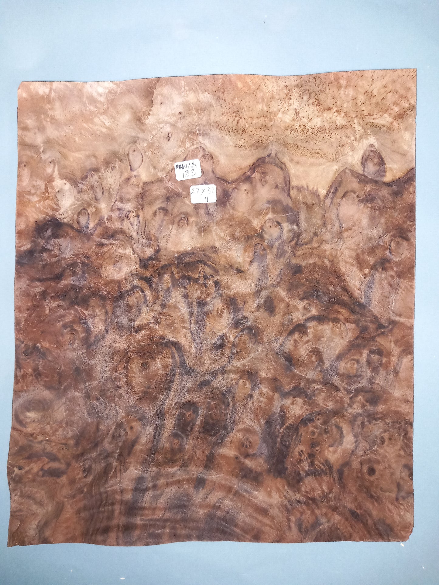 CONSECUTIVE SHEETS OF AMERICAN BURR WALNUT VENEER 27 X 32 CM