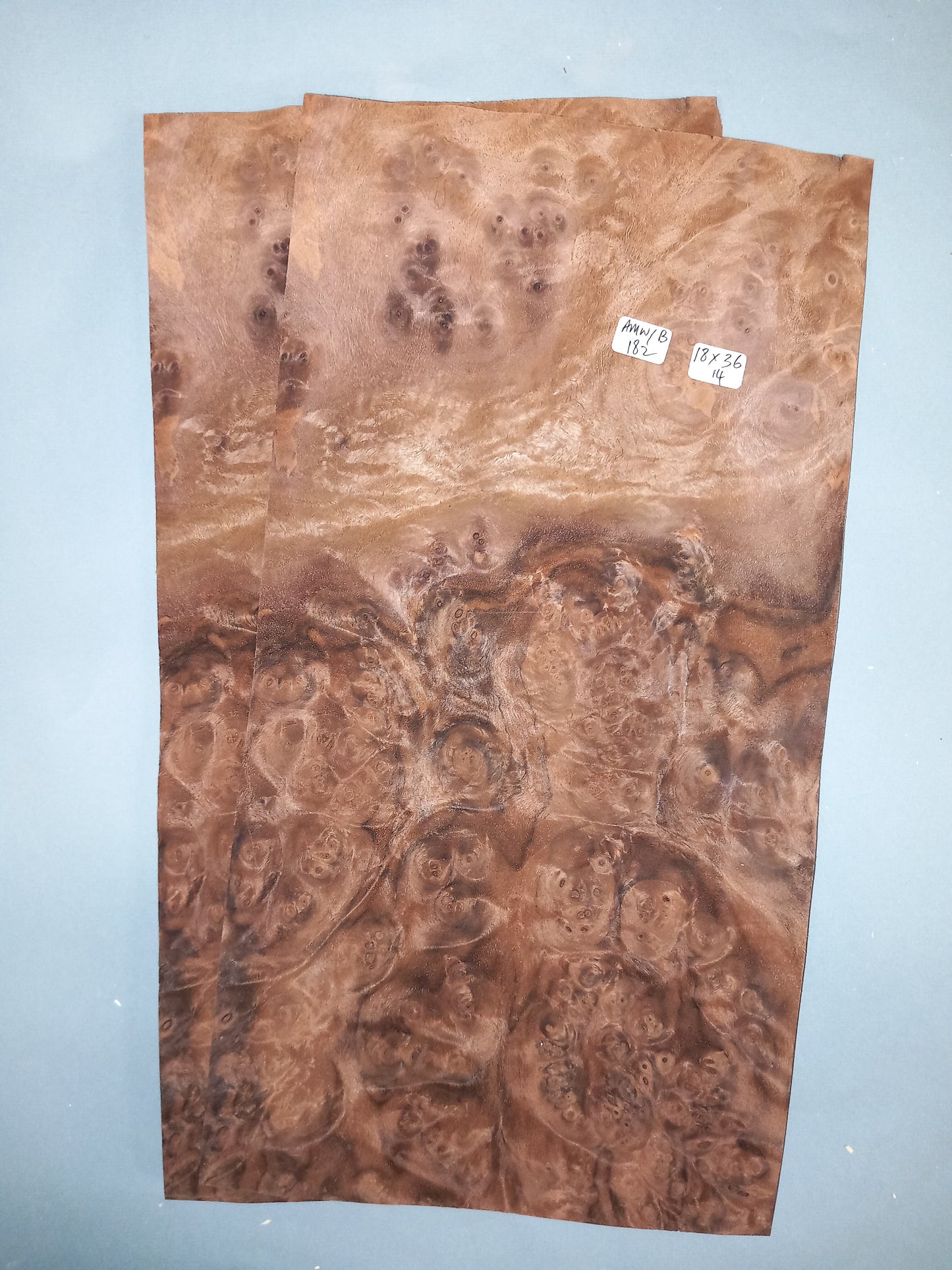 WALNUT AMERICAN BURR - 2 CONSECTUTIVE SHEETS 18x36cm