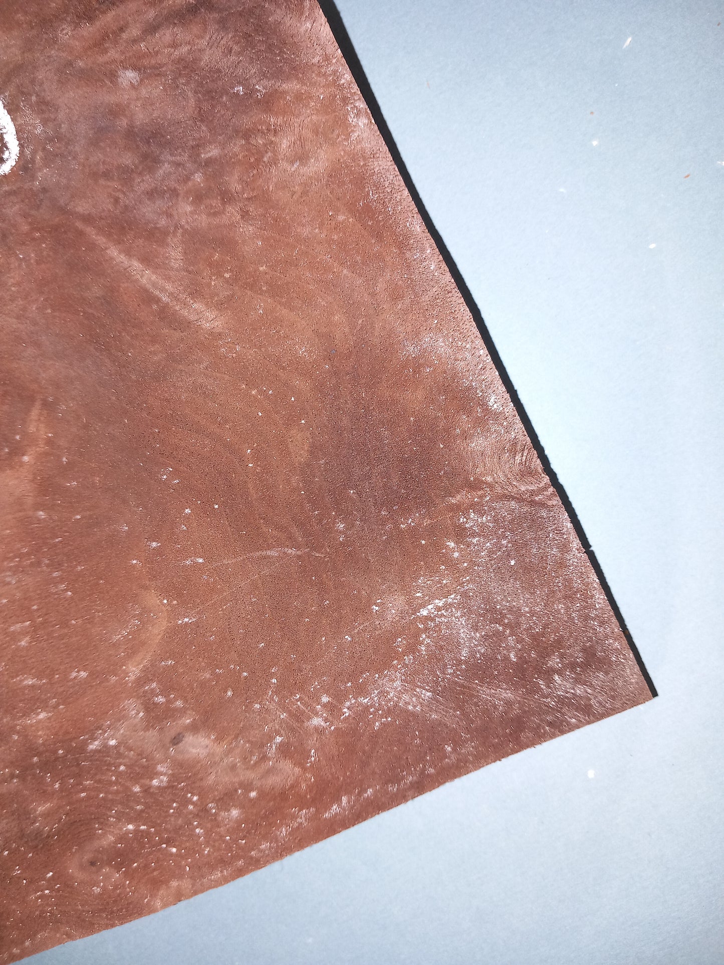 WALNUT AMERICAN BURR - 2 CONSECUTIVE SHEETS 27x31cm