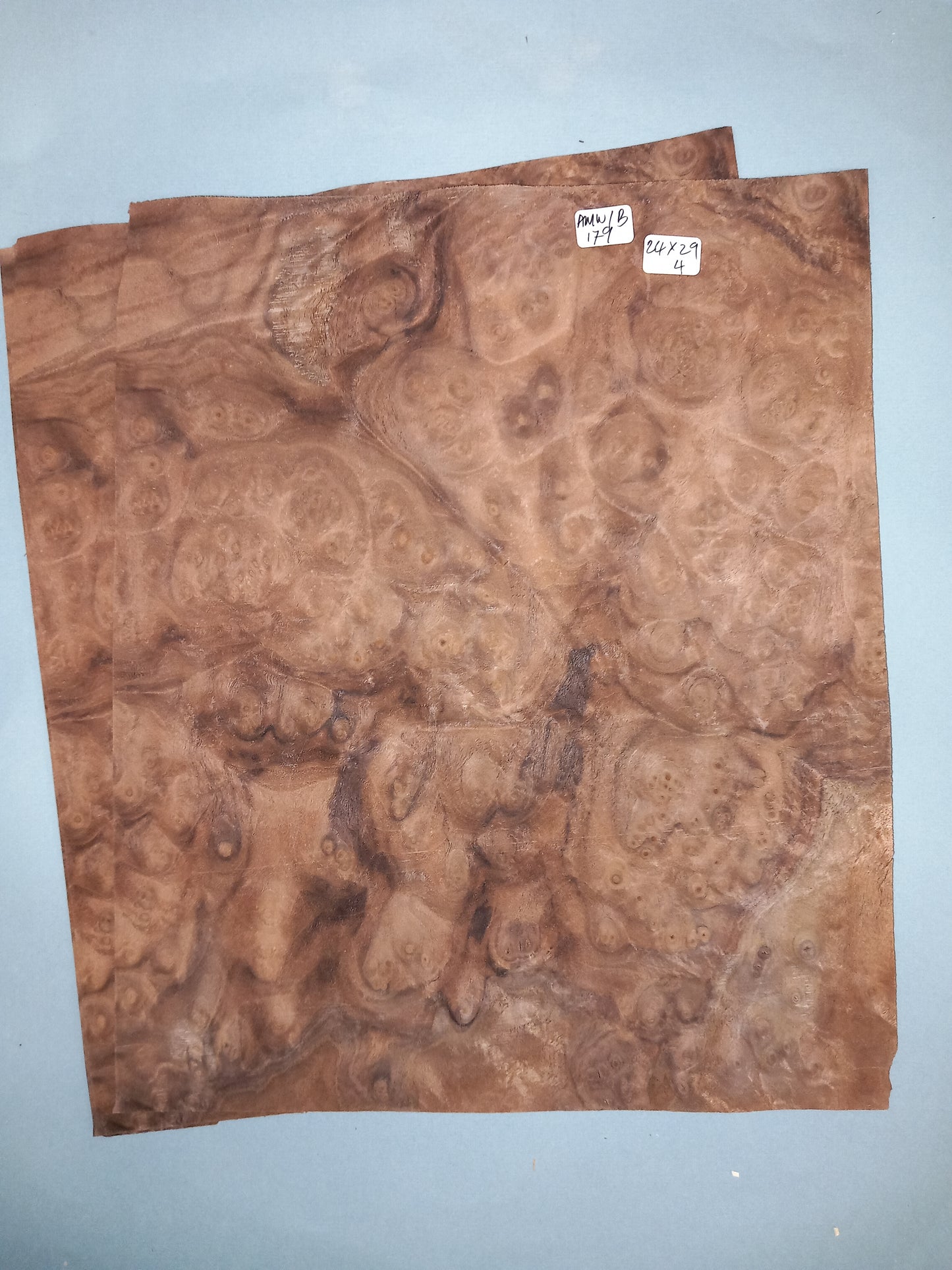 WALNUT AMERICAN BURR - 2 CONSECUTIVE SHEETS 24x29cm