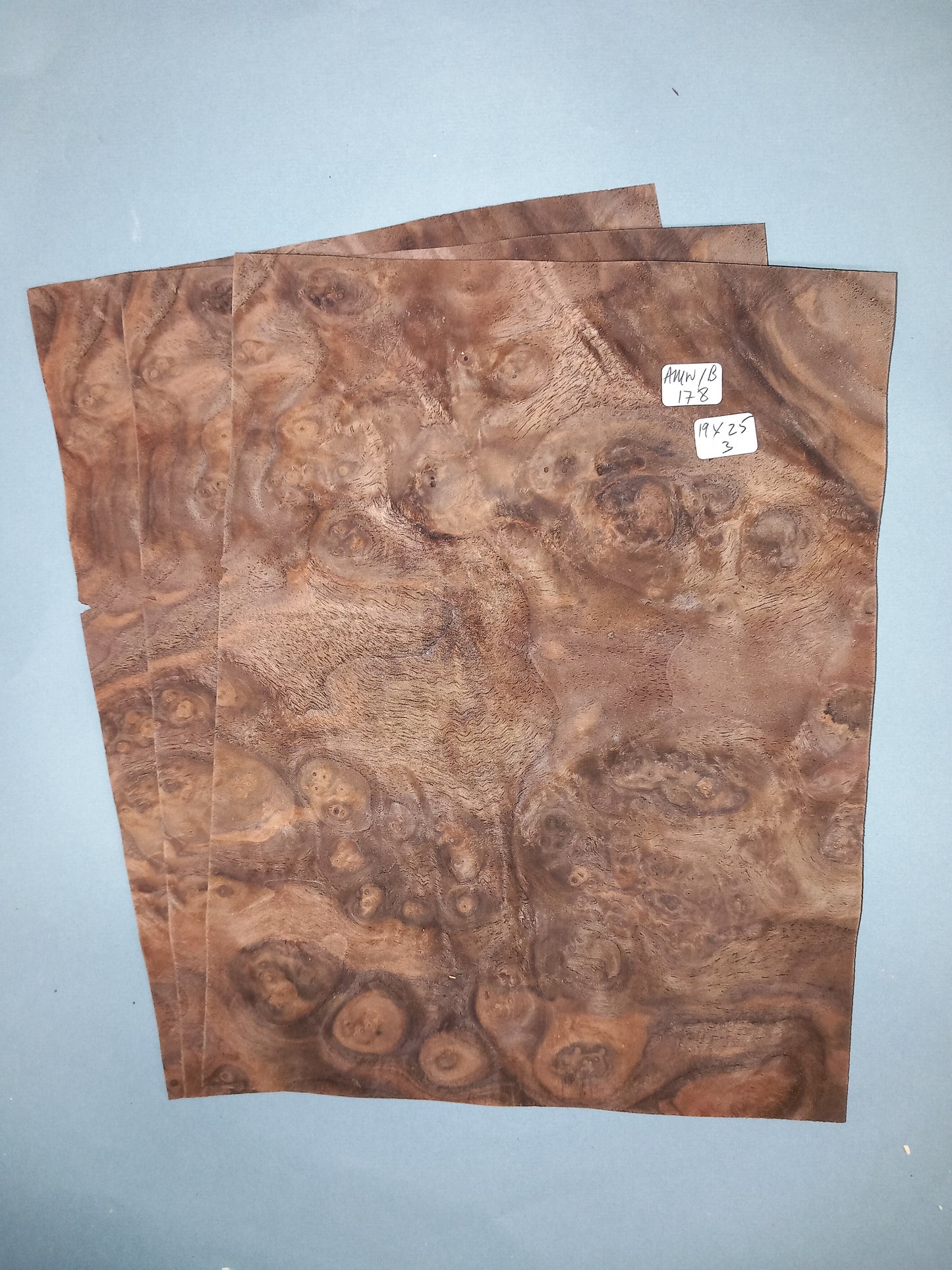 WALNUT AMERICAN BURR - 3 CONSECUTIVE SHEETS 19x25cm