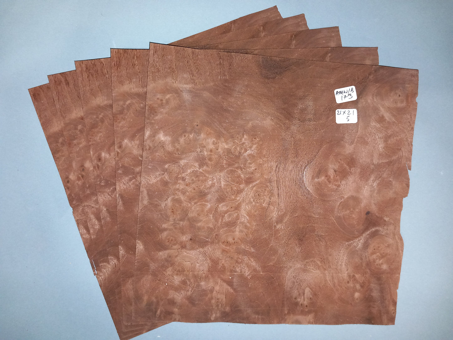 5 CONSECUTIVE SHEETS OF AMERICAN BURR WALNUT VENEER 21 X 21 CM