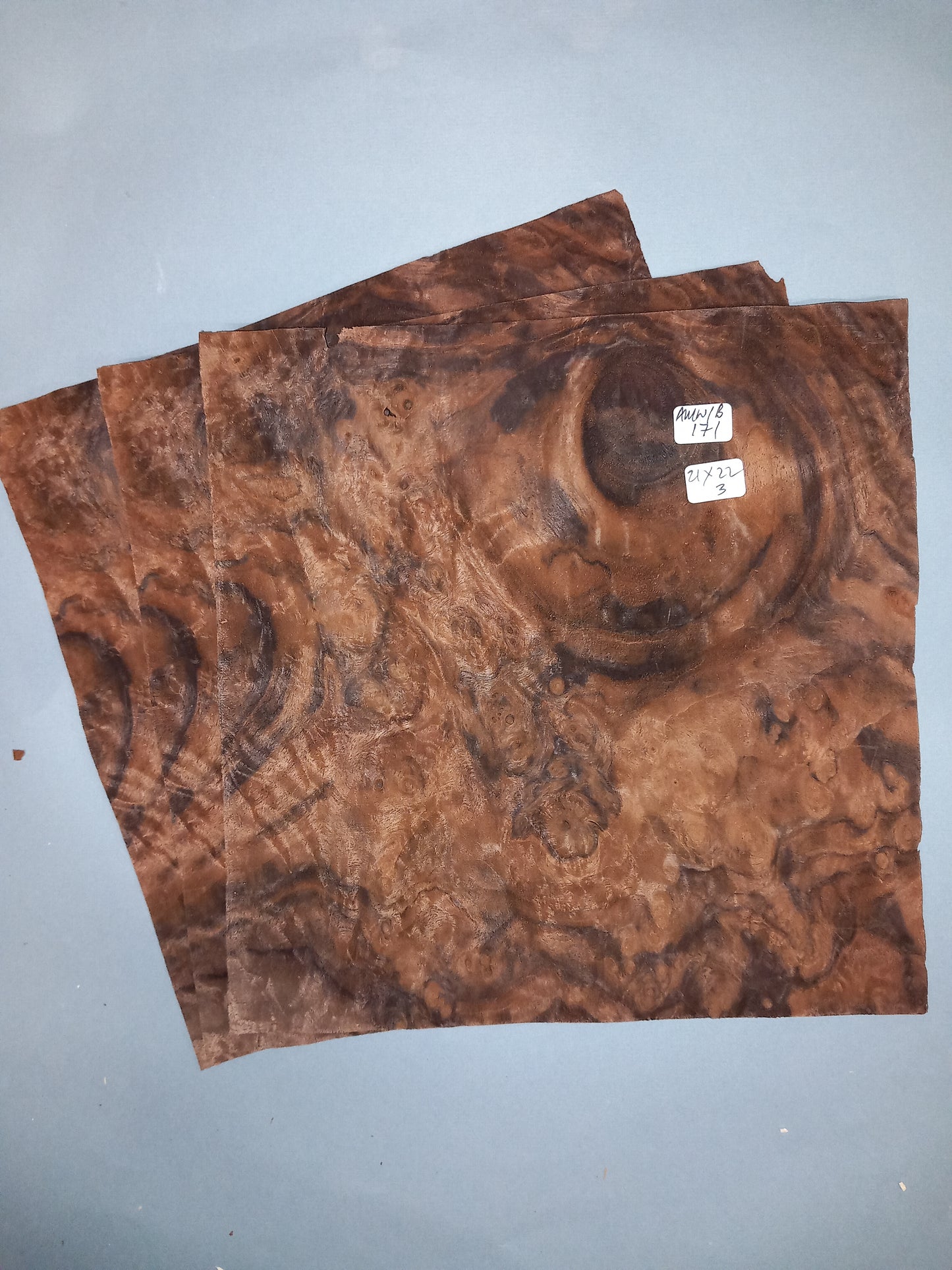 WALNUT AMERICAN BURR - 3 CONSECUTIVE SHEETS 21x22cm