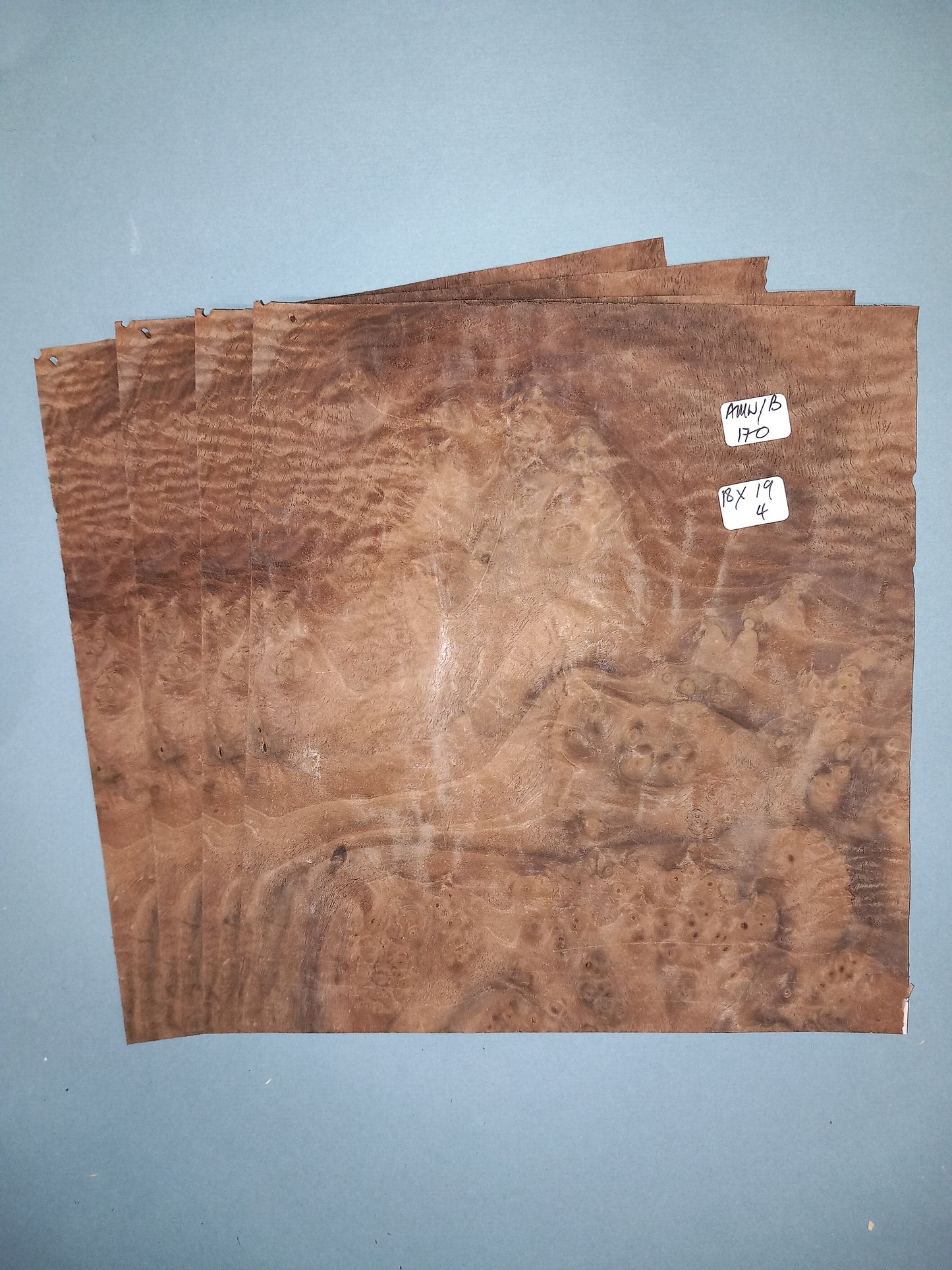 4 CONSECUTIVE SHEETS OF AMERICAN BURR WALNUT VENEER 18 X 19 CM