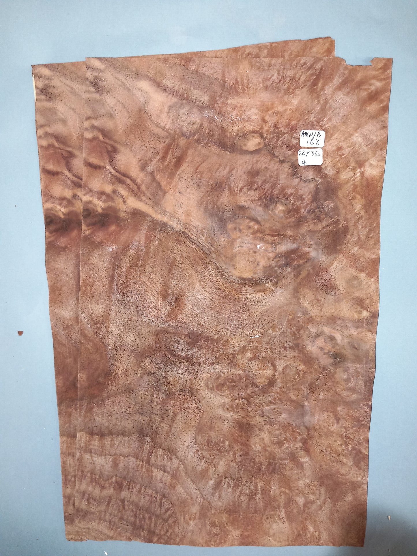WALNUT AMERICAN BURR - 2 CONSECUTIVE SHEETS 22x36cm