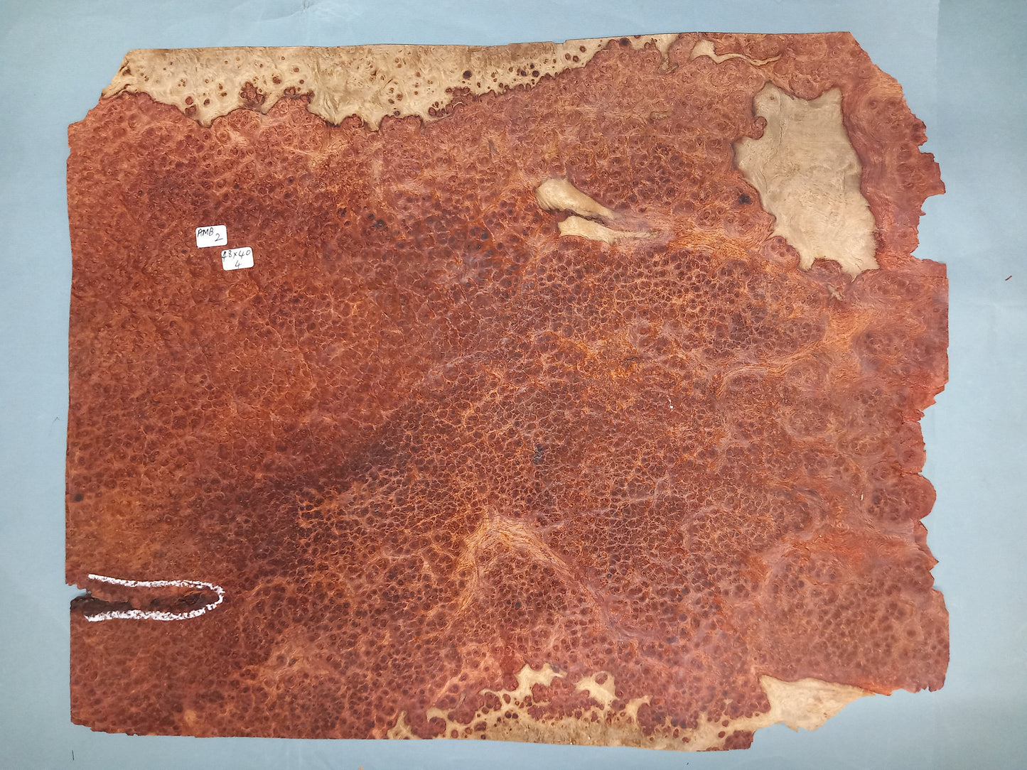 LARGE CONSECUTIVE SHEETS OF AMBOYNA VENEER 48 X 40 CM