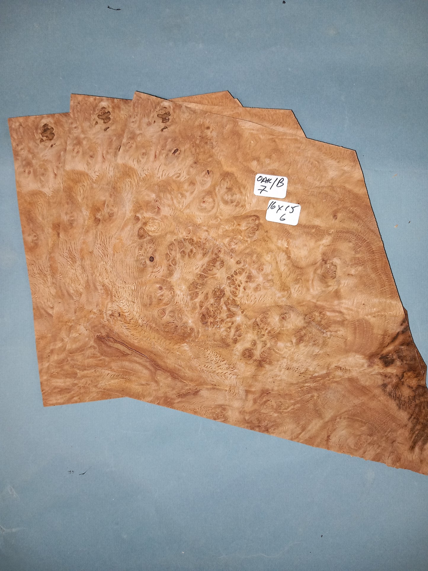 OAK BURR - 3 CONSECUTIVE SHEETS 15x16cm