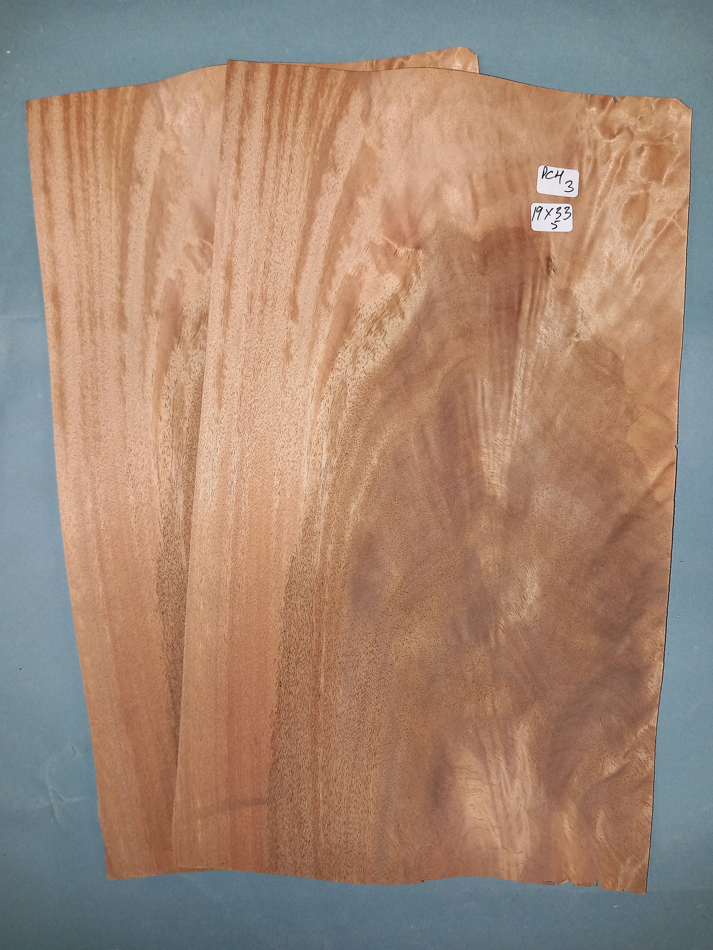 PALE CURL - 2 CONSECUTIVE SHEETS 19x33cm