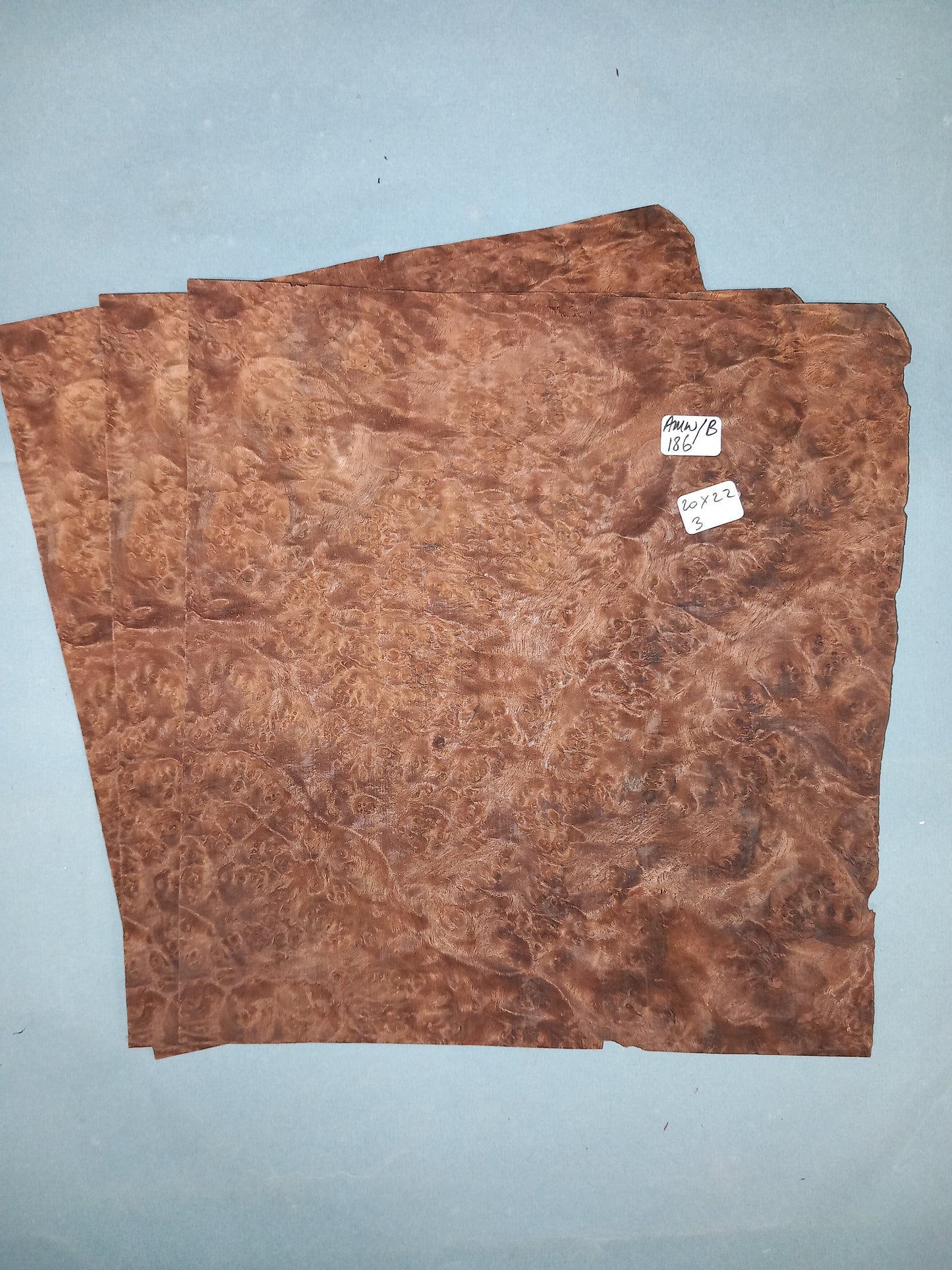 WALNUT AMERICAN BURR - 3 CONSECUTIVE SHEETS 20x22cm