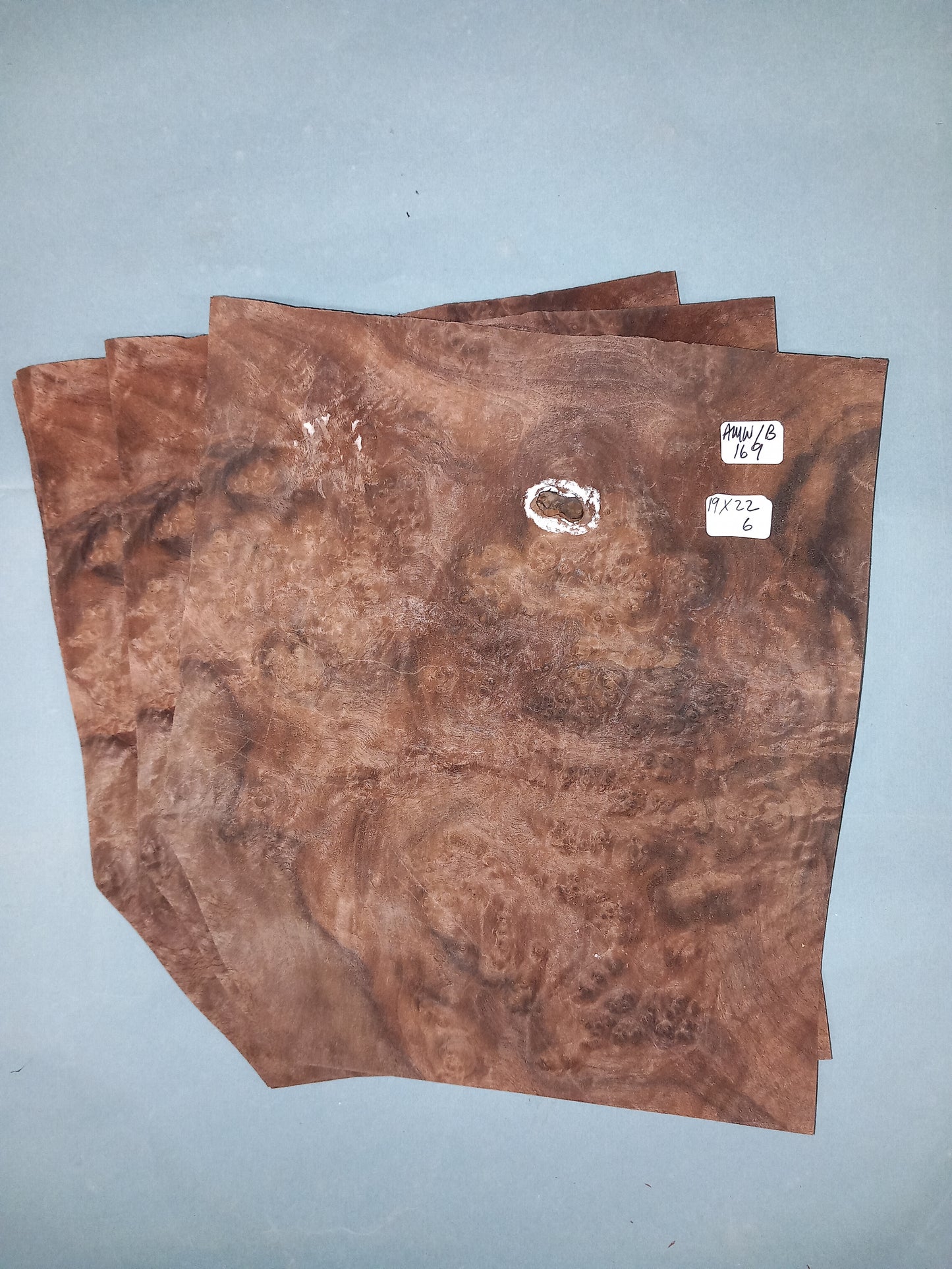 3 CONSECUTIVE SHEETS OF AMERICAN BURR WALNUT VENEER 19 X 22 CM