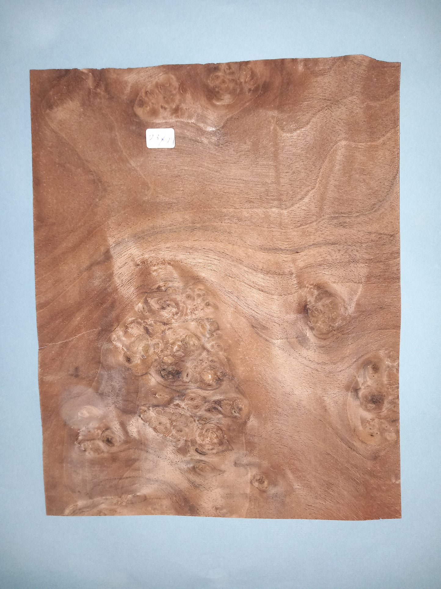 WALNUT AMERICAN BURR PACK - 10 MIXED SHEETS VARIOUS SIZES