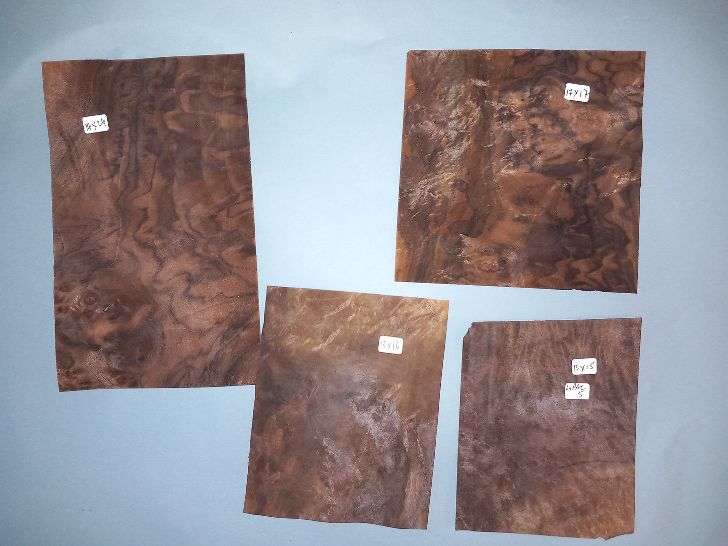 AMERICAN BURR WALNUT PACK 10 SHEETS WPAC5