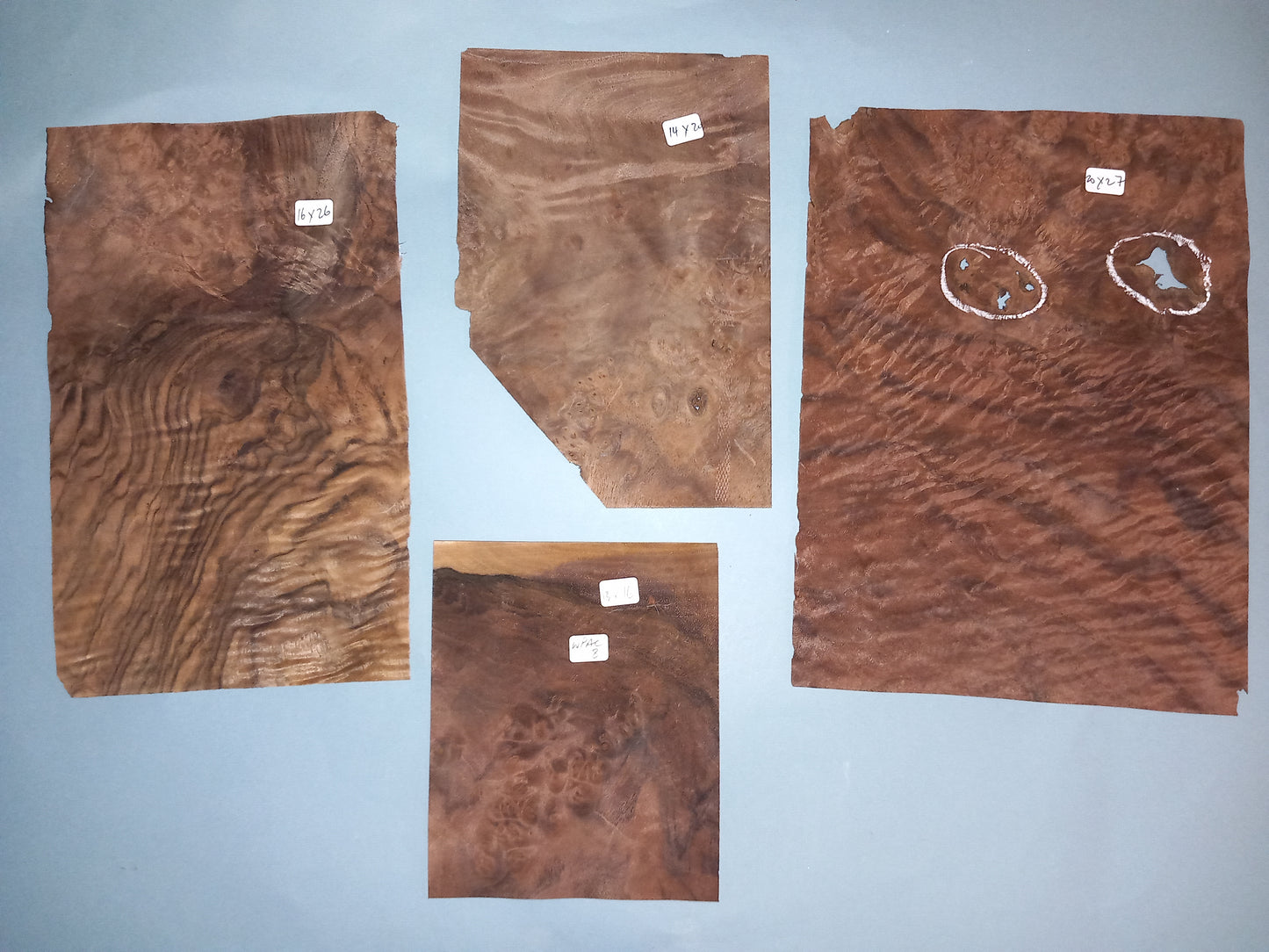AMERICAN BURR WALNUT PACK 10 SHEETS WPAC8