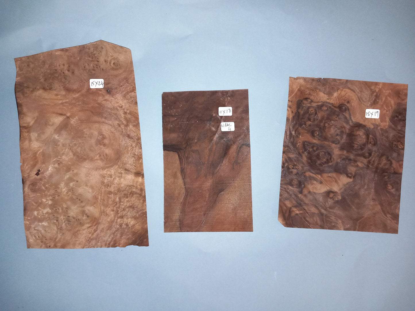 AMERICAN BURR WALNUT PACK 10 SHEETS WPAC4