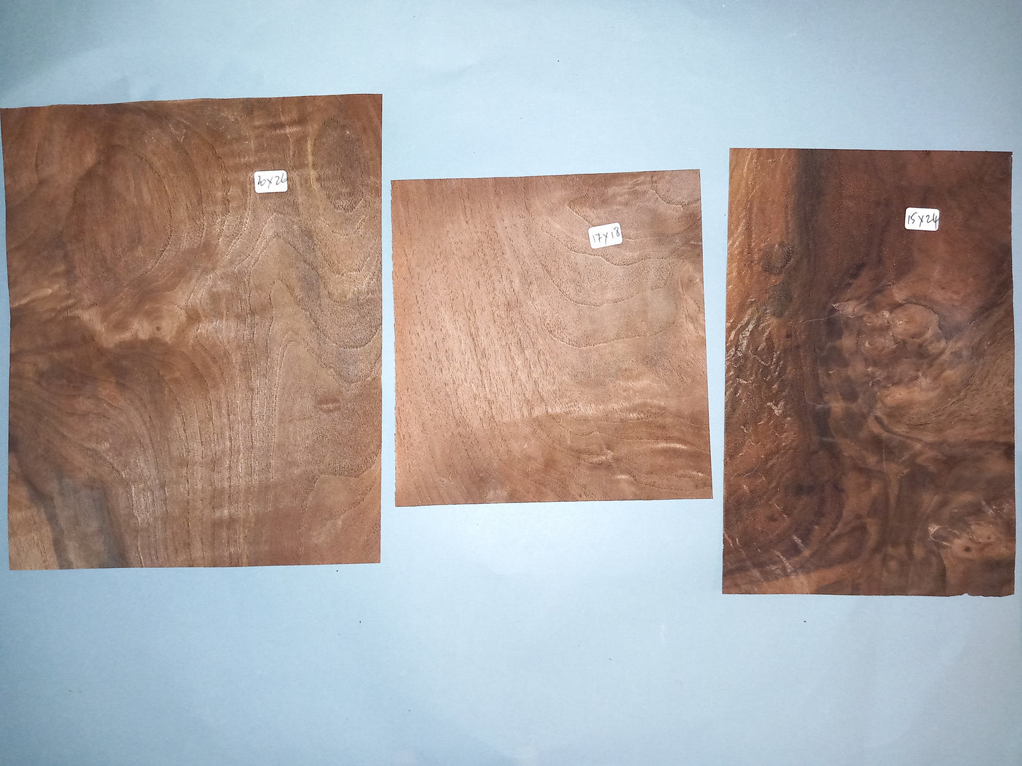 AMERICAN BURR WALNUT PACK 10 SHEETS WPAC3