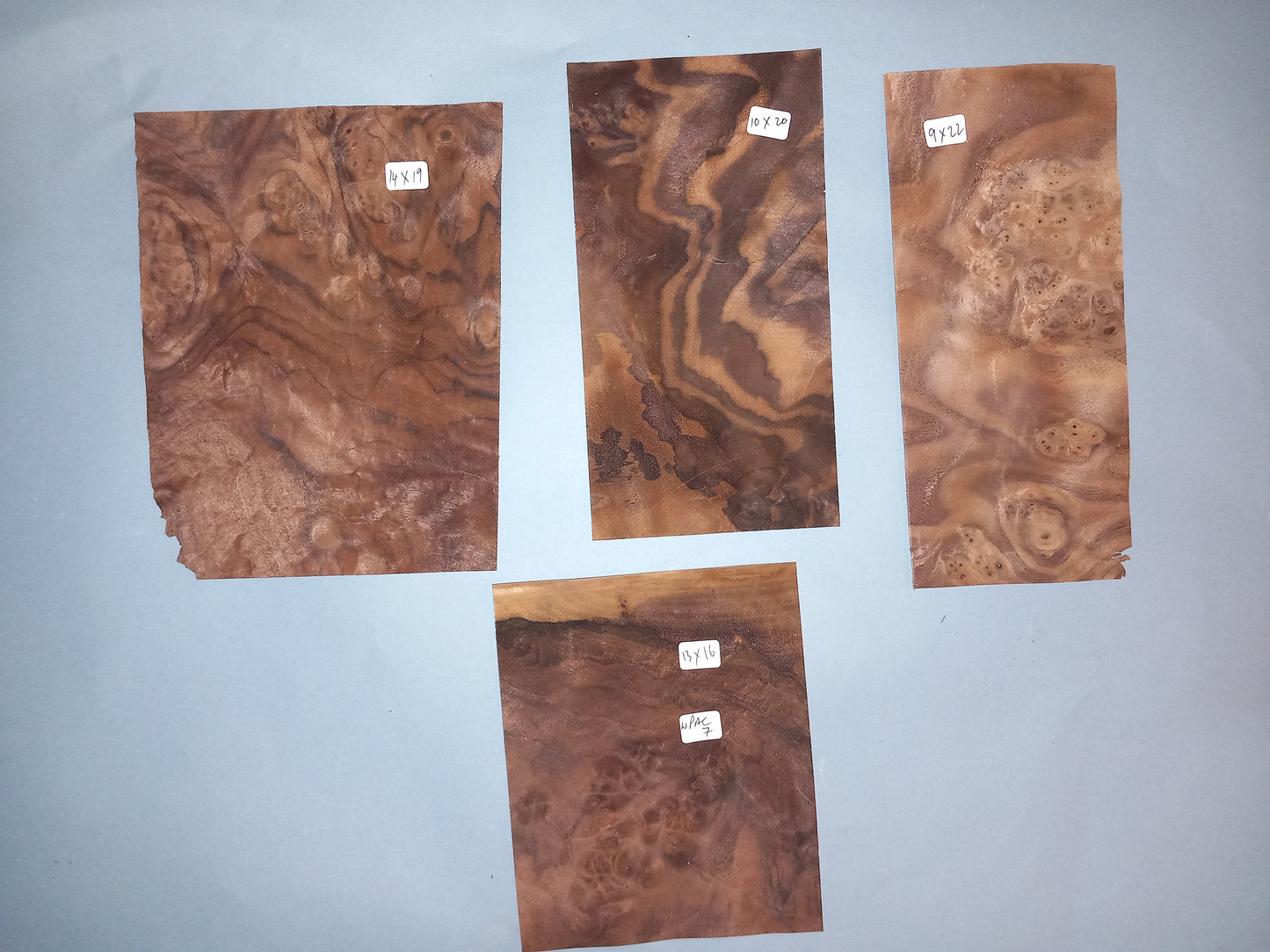 AMERICAN BURR WALNUT PACK 10 SHEETS WPAC7