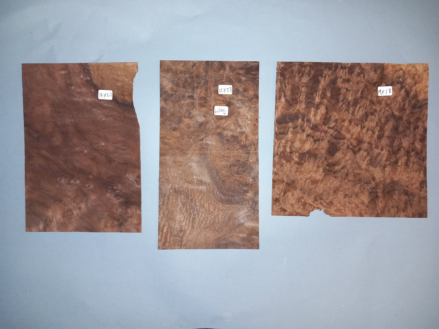 AMERICAN BURR WALNUT PACK 10 SHEETS WPAC6