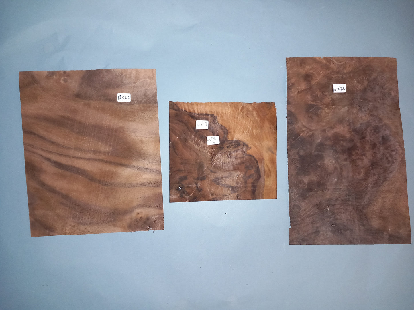 WALNUT AMERICAN BURR - 10 MIXED SHEETS VARIOUS SIZES
