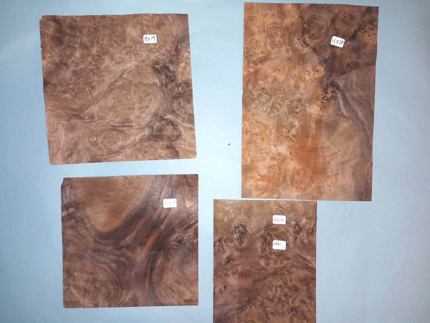 WALNUT AMERICAN BURR - 10 MIXED SHEETS VARIOUS SIZES