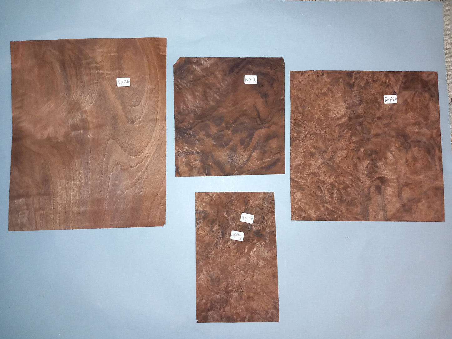 AMERICAN BURR WALNUT PACK 10 SHEETS WPAC2