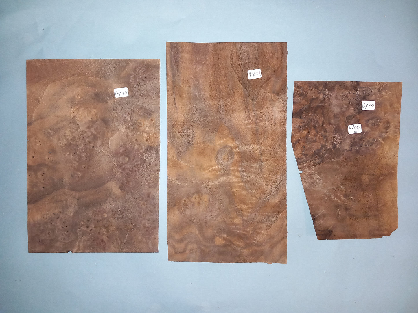 AMERICAN BURR WALNUT PACK 10 SHEETS WPAC16