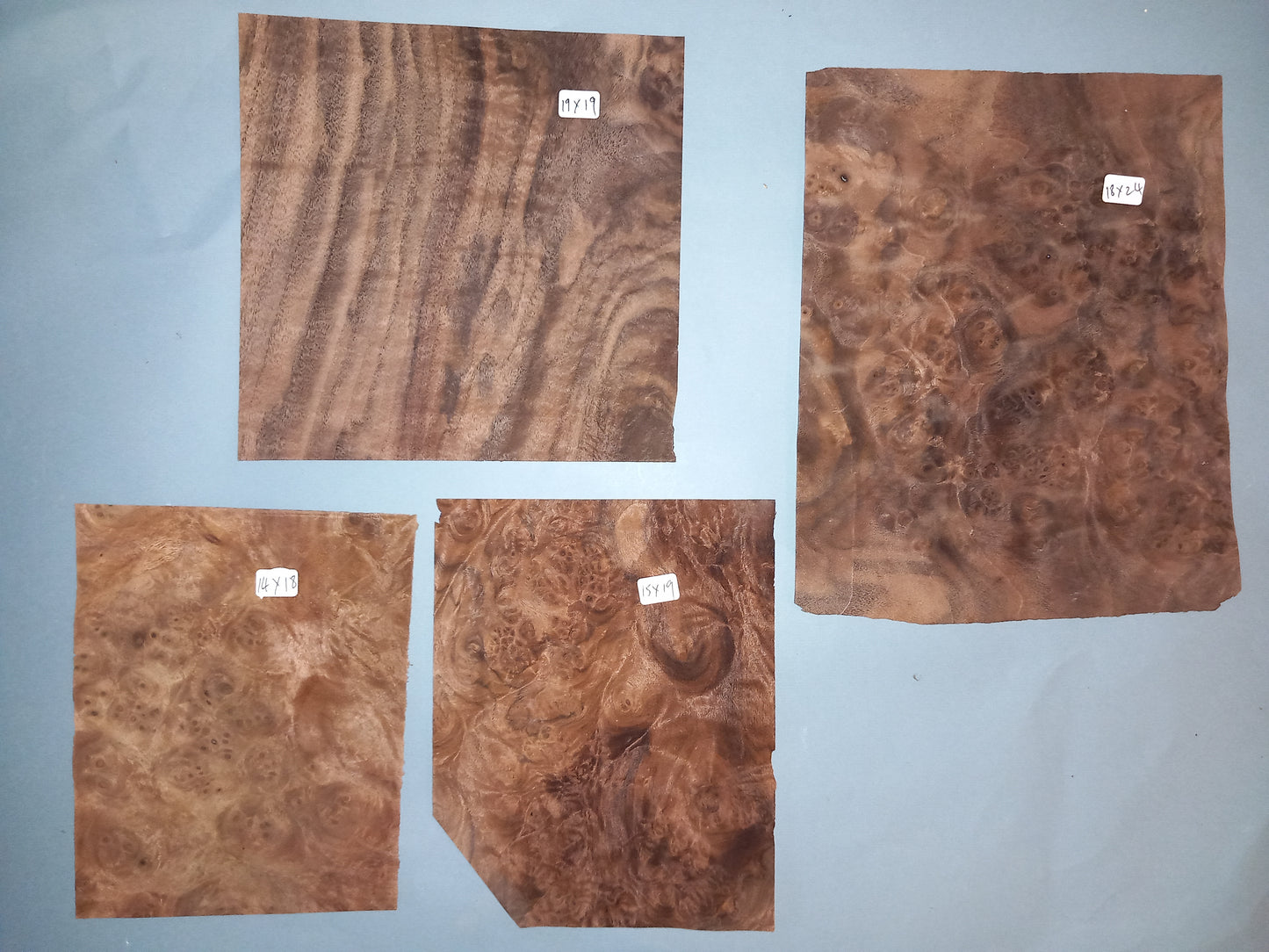 WALNUT AMERICAN BURR - 10 MIXED SHEETS VARIOUS SIZES