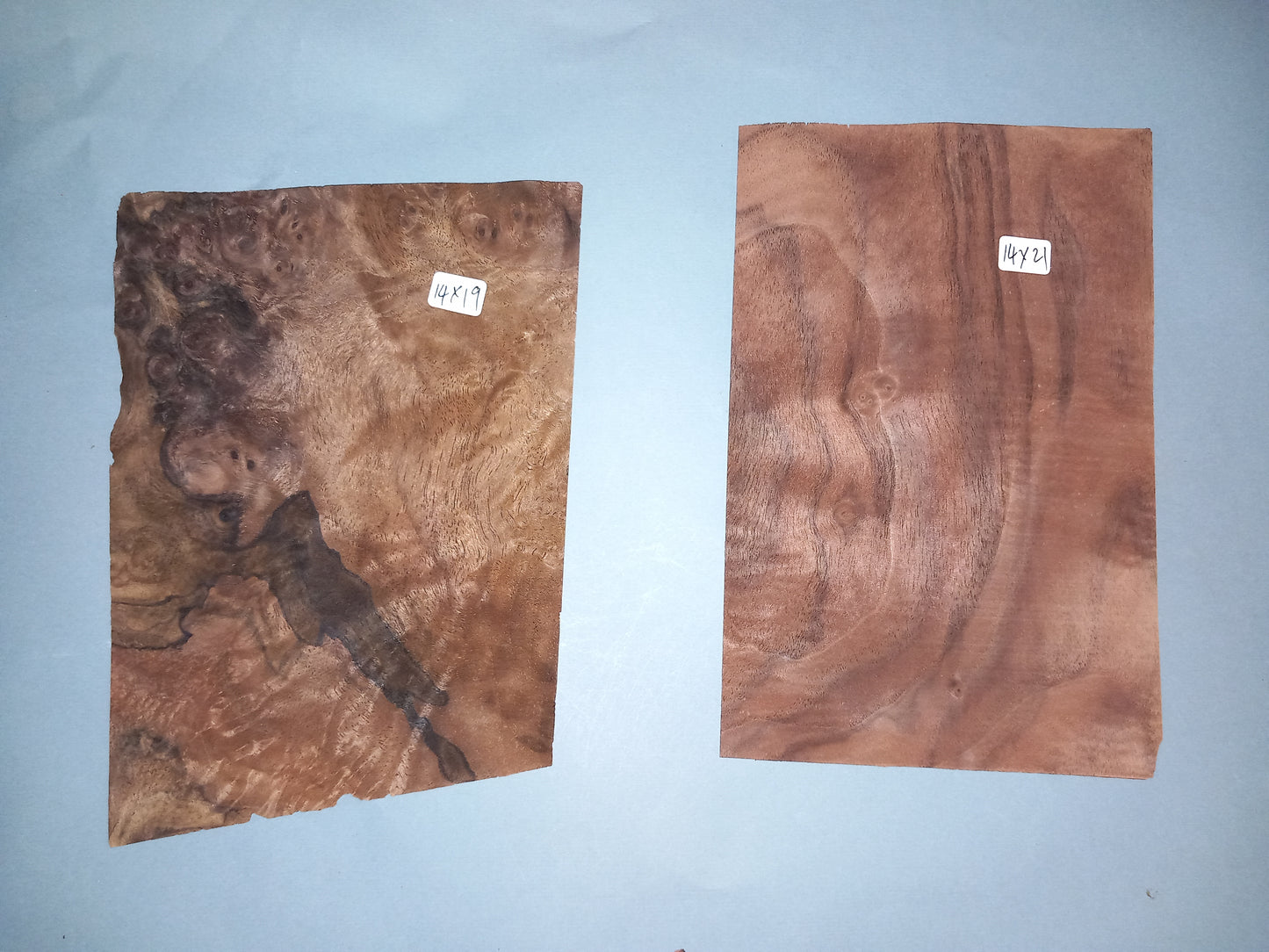 WALNUT AMERICAN BURR - 10 MIXED SHEETS VARIOUS SIZES