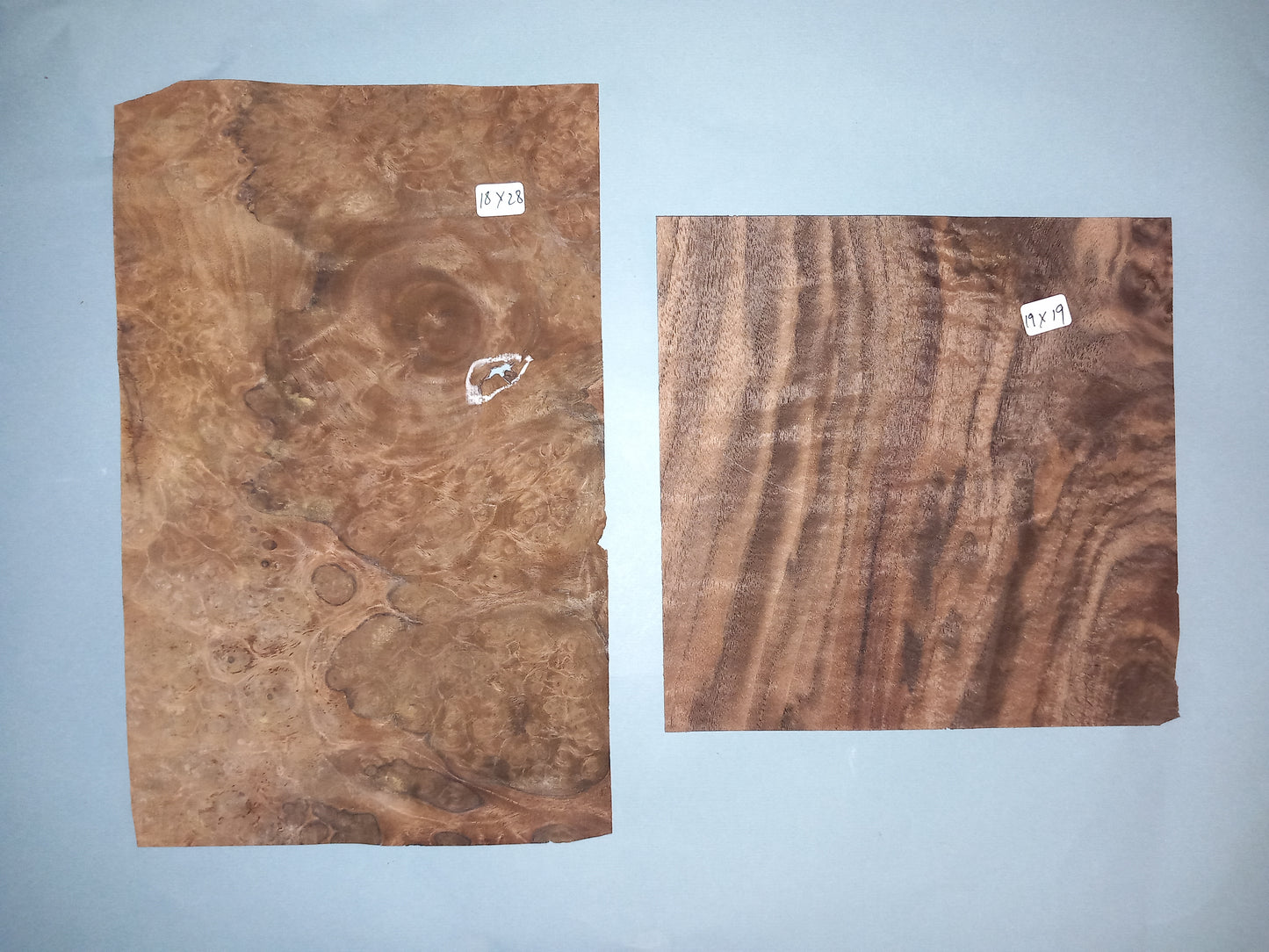 AMERICAN BURR WALNUT PACK 10 SHEETS WPAC14
