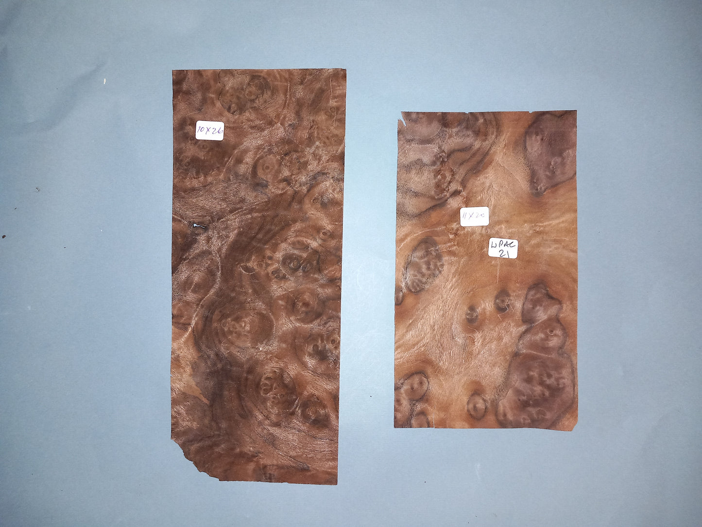 AMERICAN BURR WALNUT PACK 10 SHEETS WPAC21
