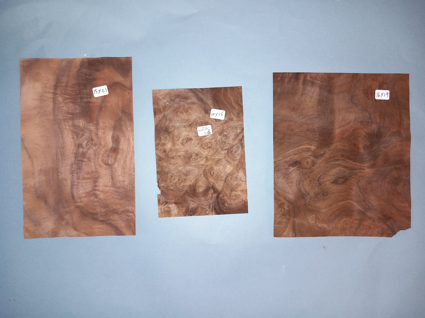 AMERICAN BURR WALNUT PACK 10 SHEETS WPAC24