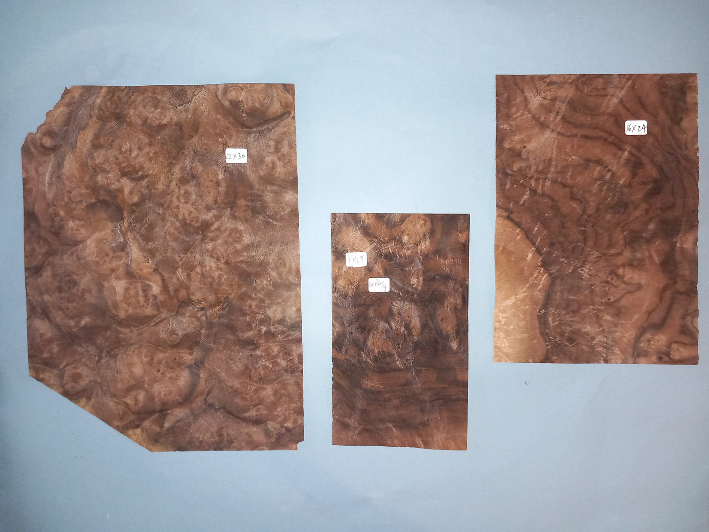 AMERICAN BURR WALNUT PACK 10 SHEETS WPAC19