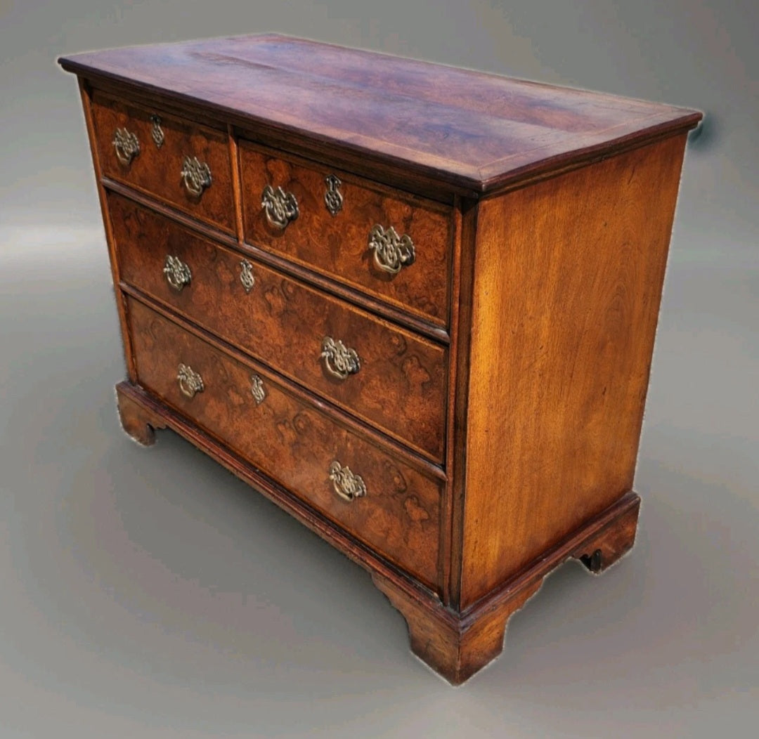 GEORGIAN STYLE BURR WALNUT CHEST OF DRAWERS