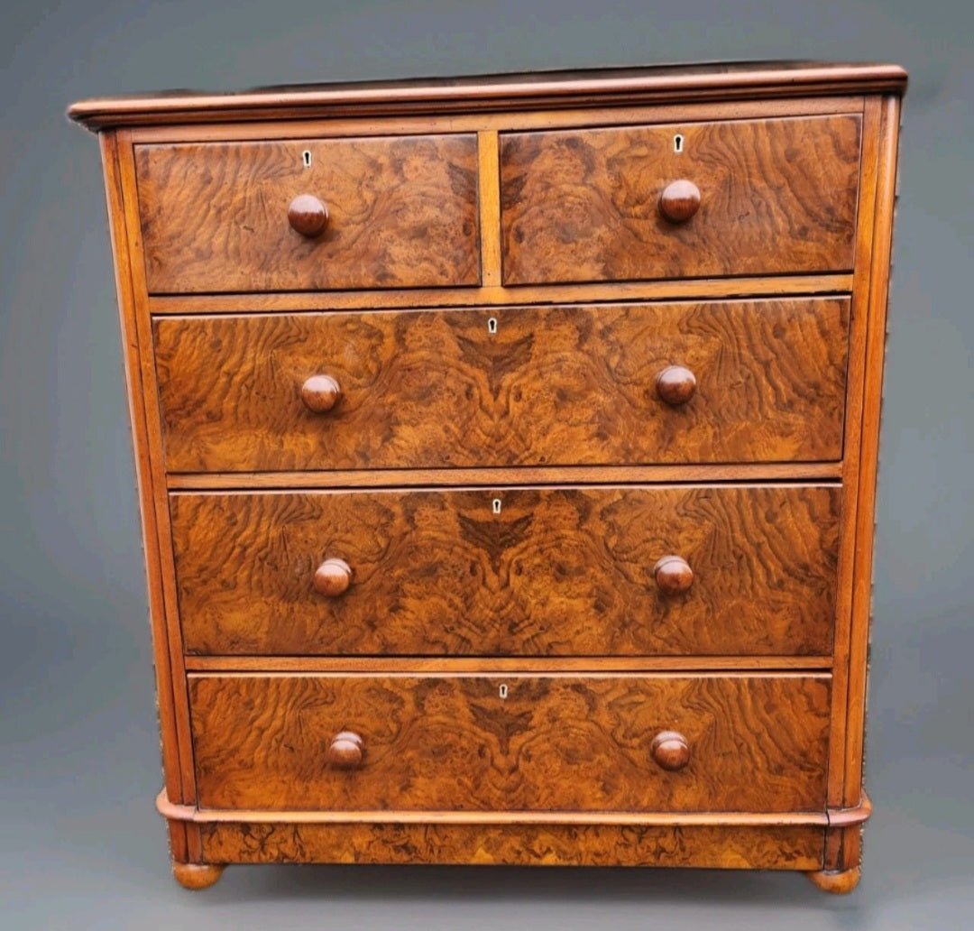 VICTORIAN BURR WALNUT CHEST OF DRAWERS ANTIQUE BURL DESK VICTORIAN  FURNITURE