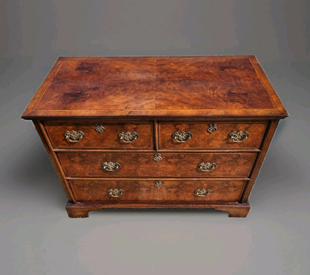GEORGIAN STYLE BURR WALNUT CHEST OF DRAWERS