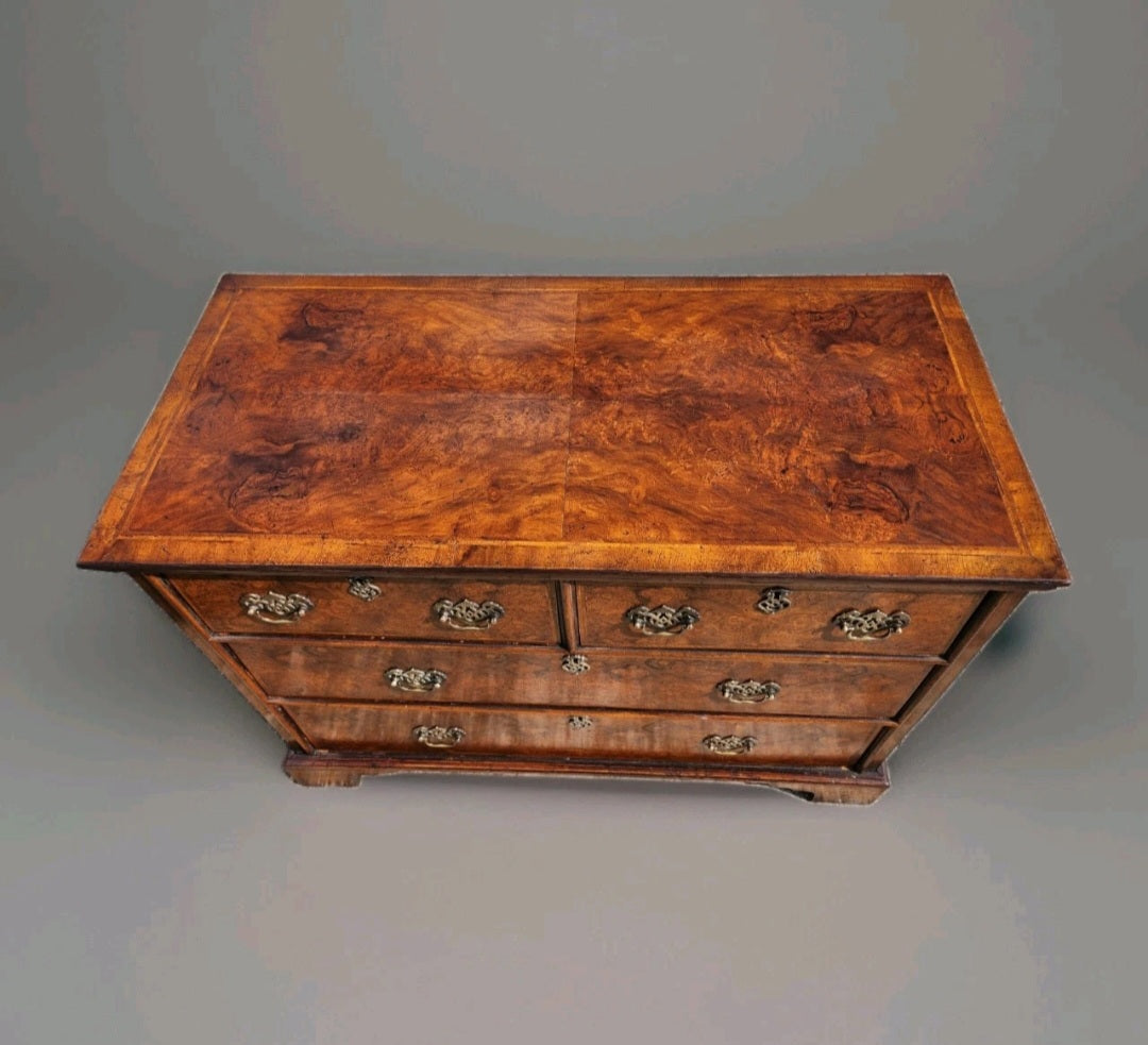 GEORGIAN STYLE BURR WALNUT CHEST OF DRAWERS