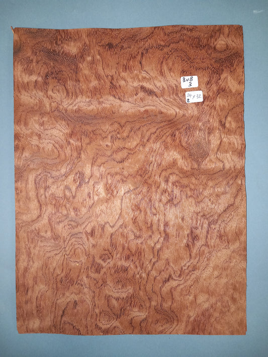 CONSECUTIVE SHEETS OF BUBINGA VENEER  24 X 32 CM