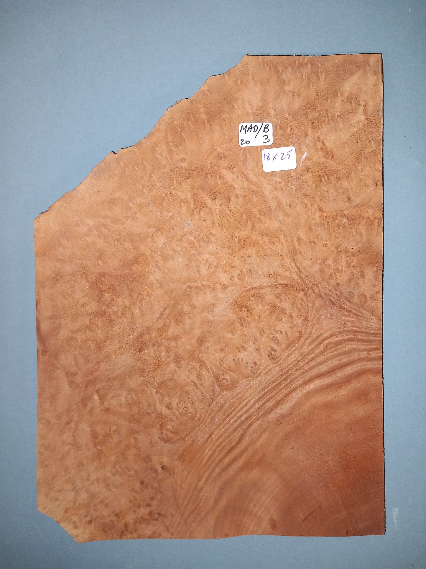 CONSECUTIVE SHEETS OF MADRONE BURR VENEER  18 X 25 CM