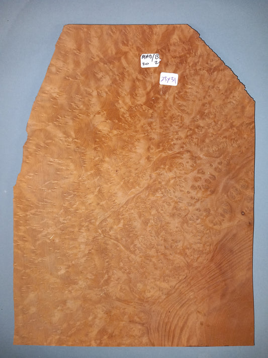 CONSECUTIVE SHEETS OF MADRONE BURR VENEER  23 X 31 CM