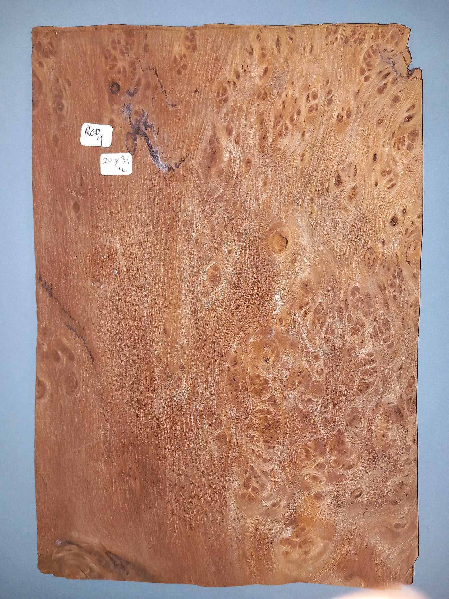 CONSECUTIVE SHEETS OF REDWOOD BURR VENEER  20 X 31 CM