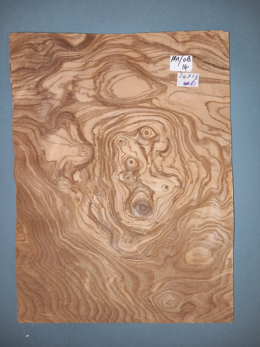 CONSECUTIVE SHEETS OF OLIVE ASH BURR  24 X 18 CM