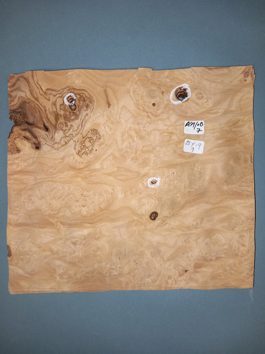 CONSECUTIVE SHEETS OF OLIVEASH BURR VENEER   22 X 19 CM