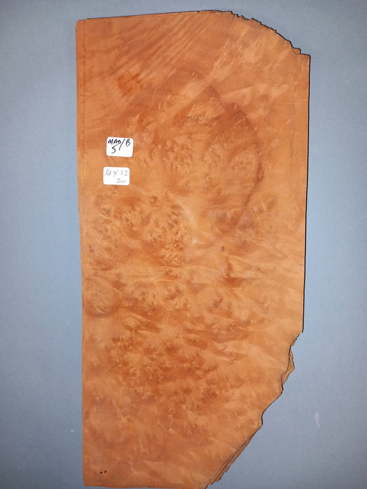 CONSECUTIVE SHEETS OF MADRONE BURR VENEER  14 X 32 CM