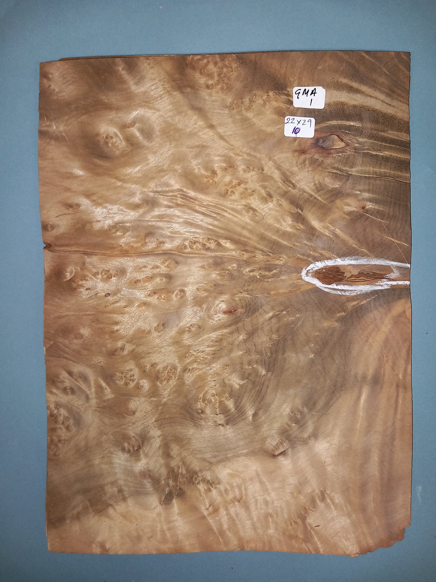 CONSECUTIVE SHEETS OF GOLDEN MADRONE BURR VENEER  22 X 29 CM