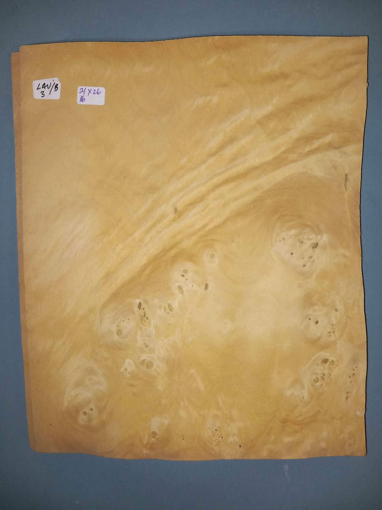 CONSECUTIVE SHEETS OF LAUREL BURR VENEER   21 X 26 CM